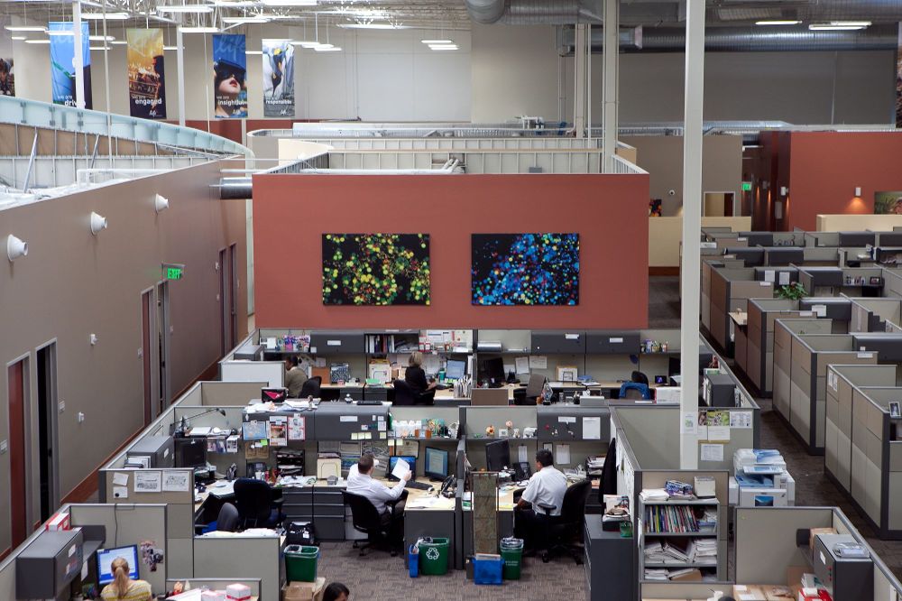 Absolutely Electric, Inc. - ThermoFisher Scientific - Interior Lighting Design, LED upgrades and lighting controls